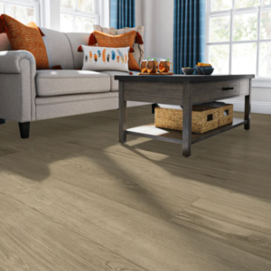 Stainmaster Hartsville Oak